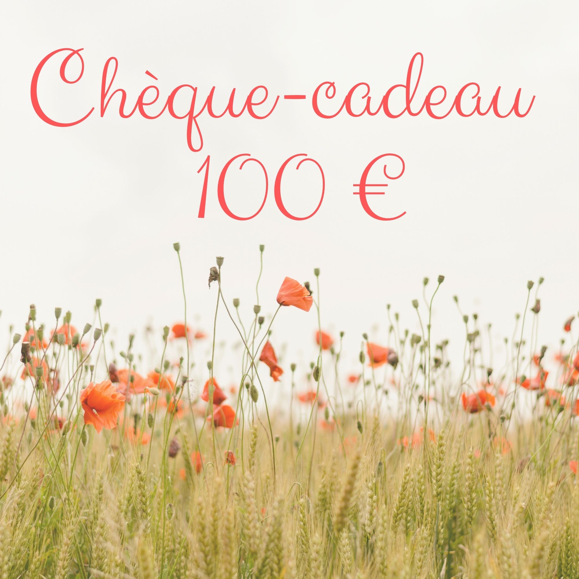 Chèque-cadeau 100 Euros