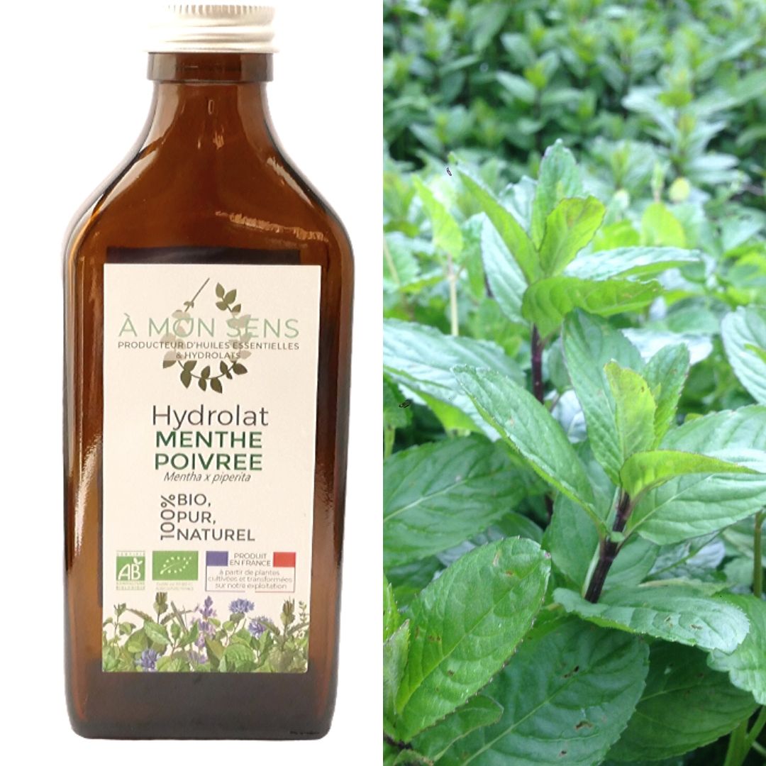 hydrolat-menthe-poivrée-pur-naturel-clean-cosmetiques