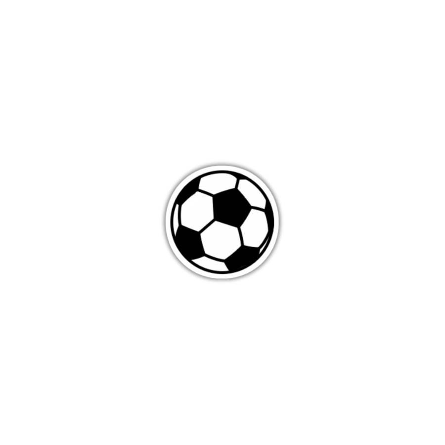 pelota