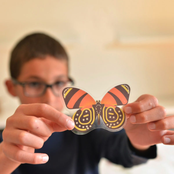Jeu-educatif-Poppik-Puzzle-Stickers-Autocollants-affiche-insectes-4-600x600