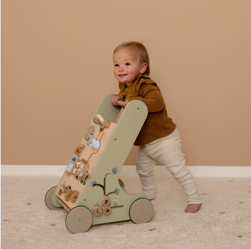 LD7072-chariotmarchegoose-littledutch-1