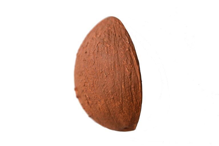 COCO 1