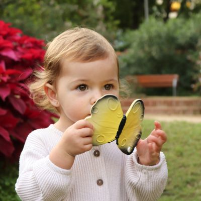 papillon 2