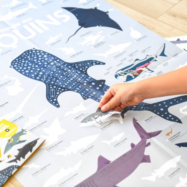 Poppik-poster-stickers-requins-sharks-animaux-marins-angel-svoboda-8-copie-600x600