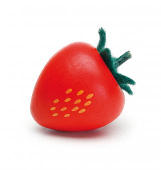 FRAISE ERZI