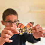 Jeu-educatif-Poppik-Puzzle-Stickers-Autocollants-affiche-insectes-4-600x600