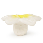 AB0005809905_1