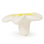 AB0005809895_1