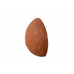 COCO 1
