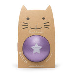 B004-BALLON-PAILLETTE-VIOLET-PACKSHOT-0