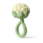 L-RATTLE-CAULIFLOWER-2