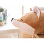 kotarou-le-chien-shiba-taille-l-52-cm-4