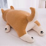 kotarou-le-chien-shiba-taille-l-52-cm-2