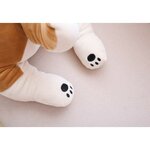 kotarou-le-chien-shiba-taille-l-52-cm-3