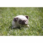 nemu-nemu-hana-bulldog-taille-s-11-cm-4