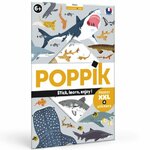 poppik-poster-stickers-requins-sharks-pedagogique-educatif-autocollants-600x599