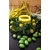 les-artisans-ciriers-bruxellois-Bougie Photophore Couronne Vegetale Yellow Croky