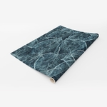 PP22-papier-peint-adhesif-decoratif-revetement-vinyle-motifs-nature-feuilles-squelette-renovation-meuble-mur-1