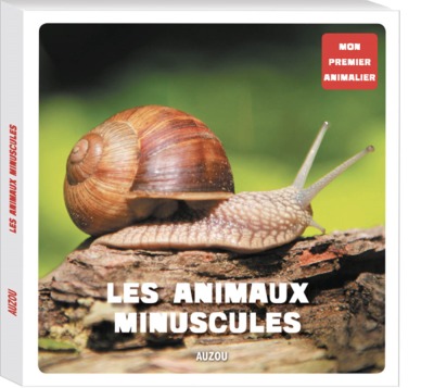 animaux minuscules