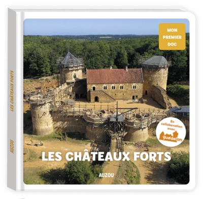 chateaux forts