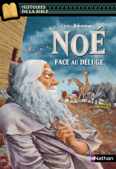 noé face au deluge