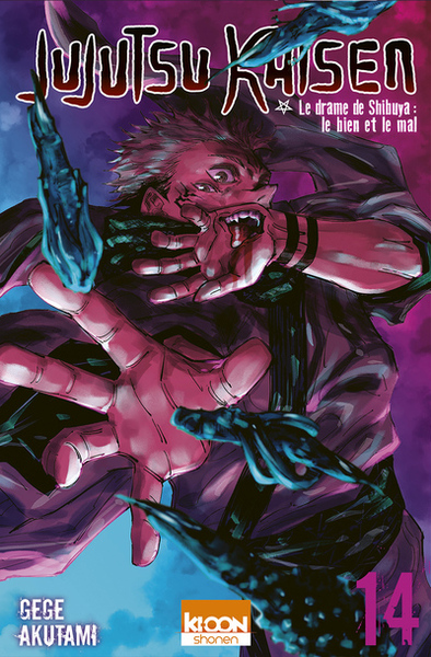 jujutsu kaisen t14