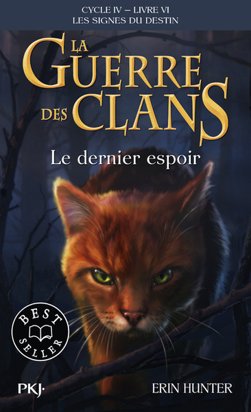 guerres des clans cycle 4 t6