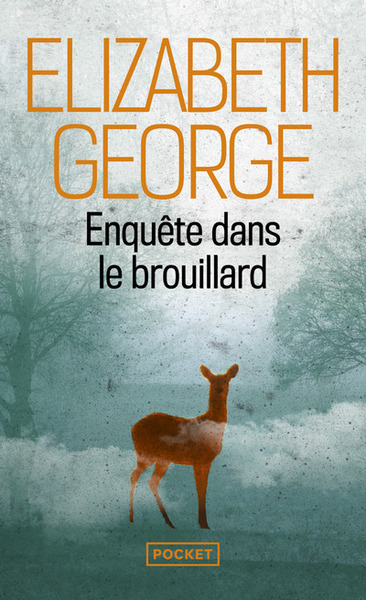 enquete dans le brouillard