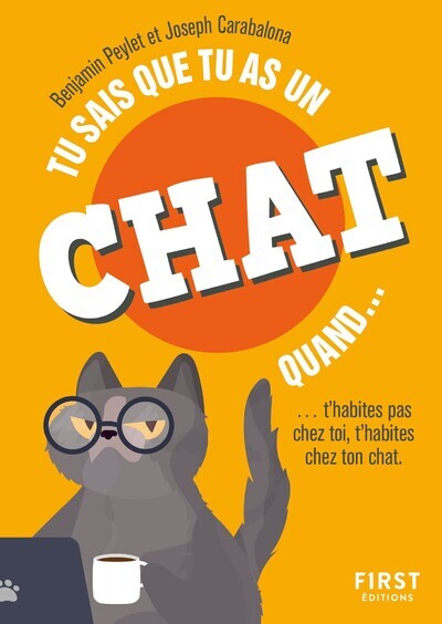 tu sais que tu as un chat quand