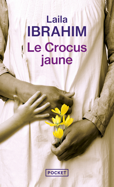 crocus jaune