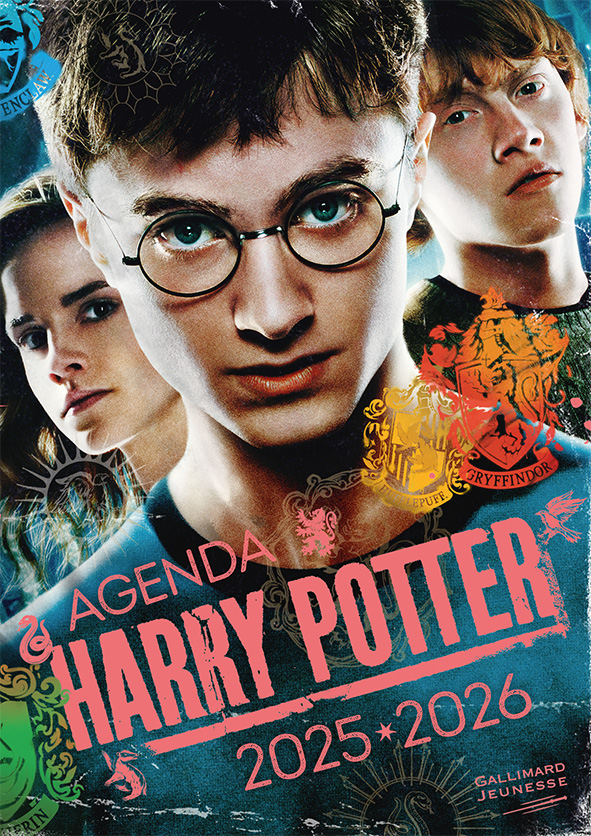 agenda harry potter