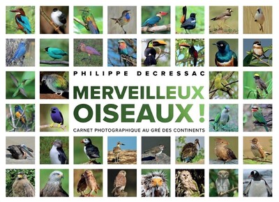 merveilleux oiseaux