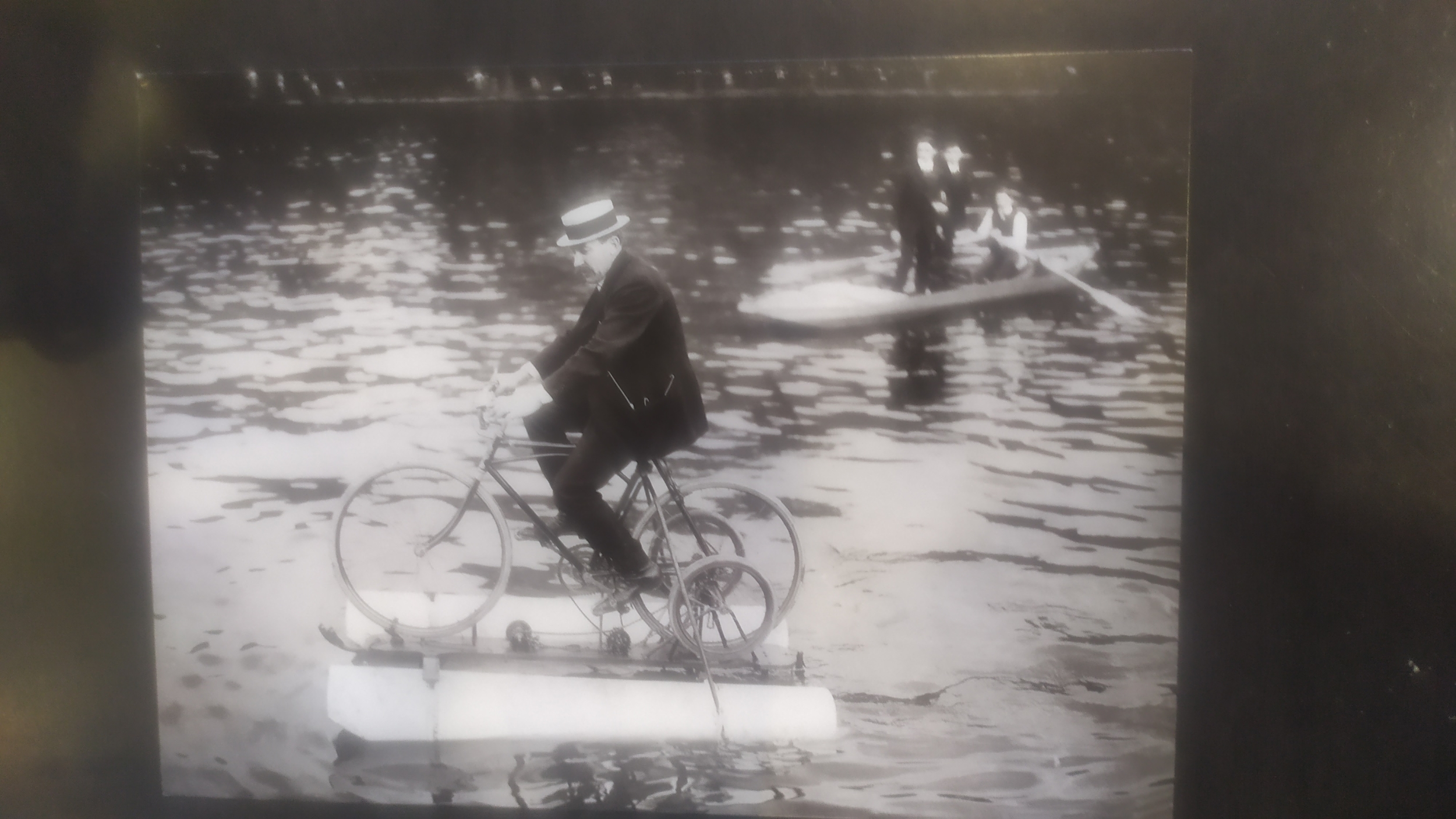 amphibocycle