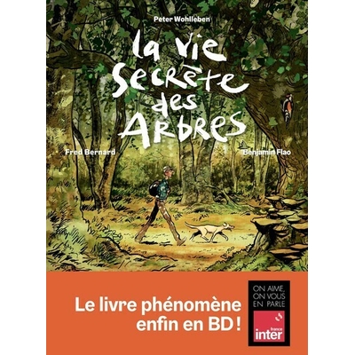 vie secrete des arbres en bd