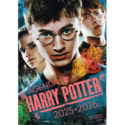 agenda harry potter
