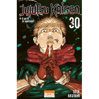 jujutsu kaisen t30