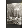 camping dans les landes