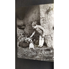 enfant nourrisant les lapins