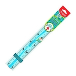 règle 30 cm