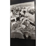 pique nique à la plage