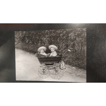 enfants dans un landau