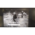 amphibocycle