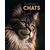 eperdument chats