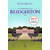 chronique bridgerton 5-6