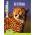 mes docs à coller -animaux de la savane