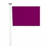 drapeau-de-baignade-violet-pollution-nouvelle-reglementation