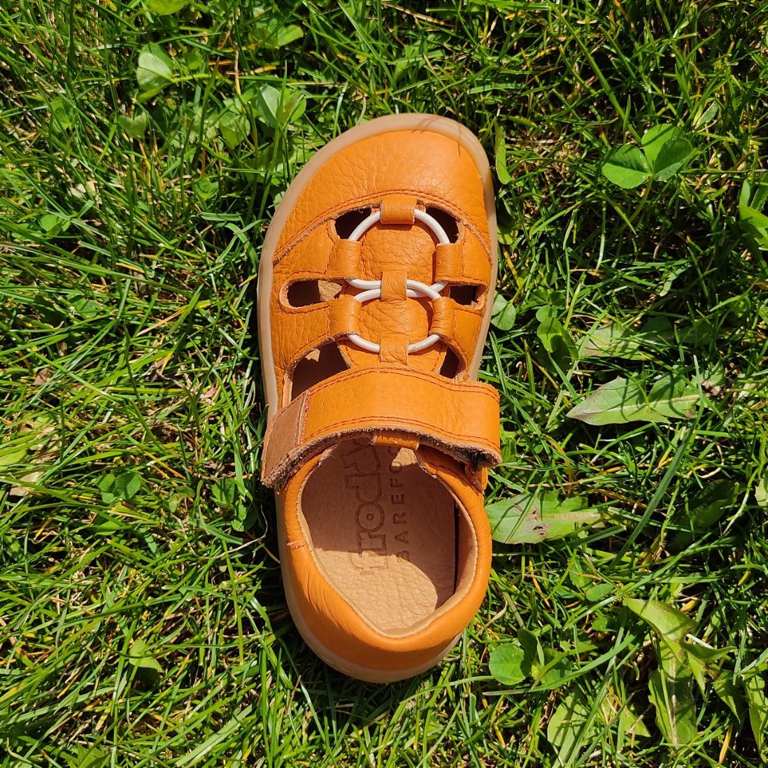 Sandales Froddo barefoot ELASTIC orange sur la boutique liberty pieds-6