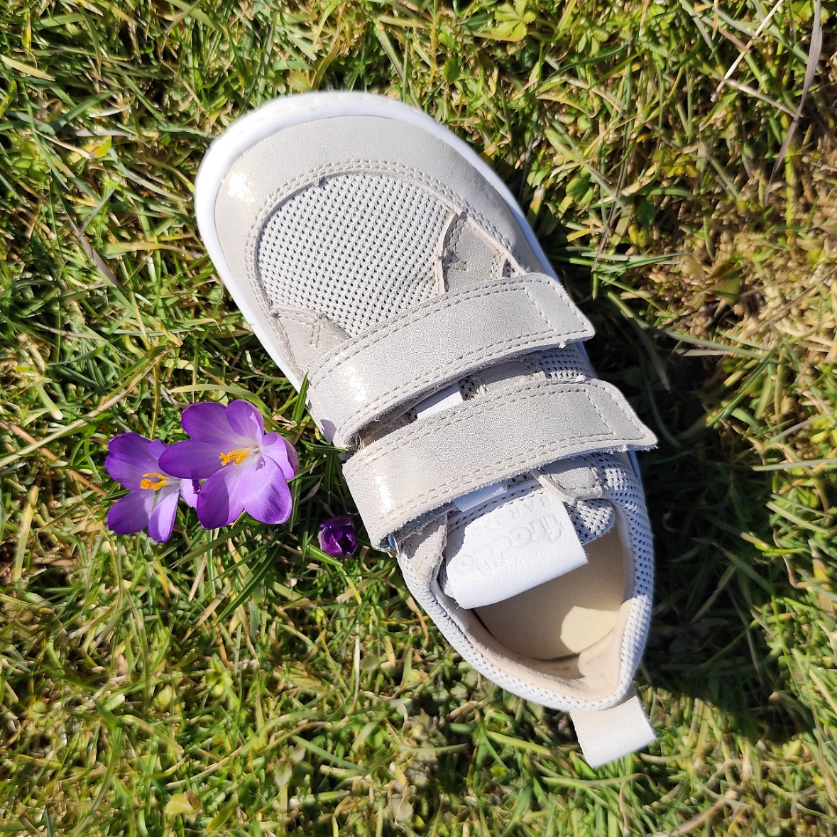 Baskets enfants Froddo barefoot base gold G3130260-19 sur la boutique Liberty Pieds (13)
