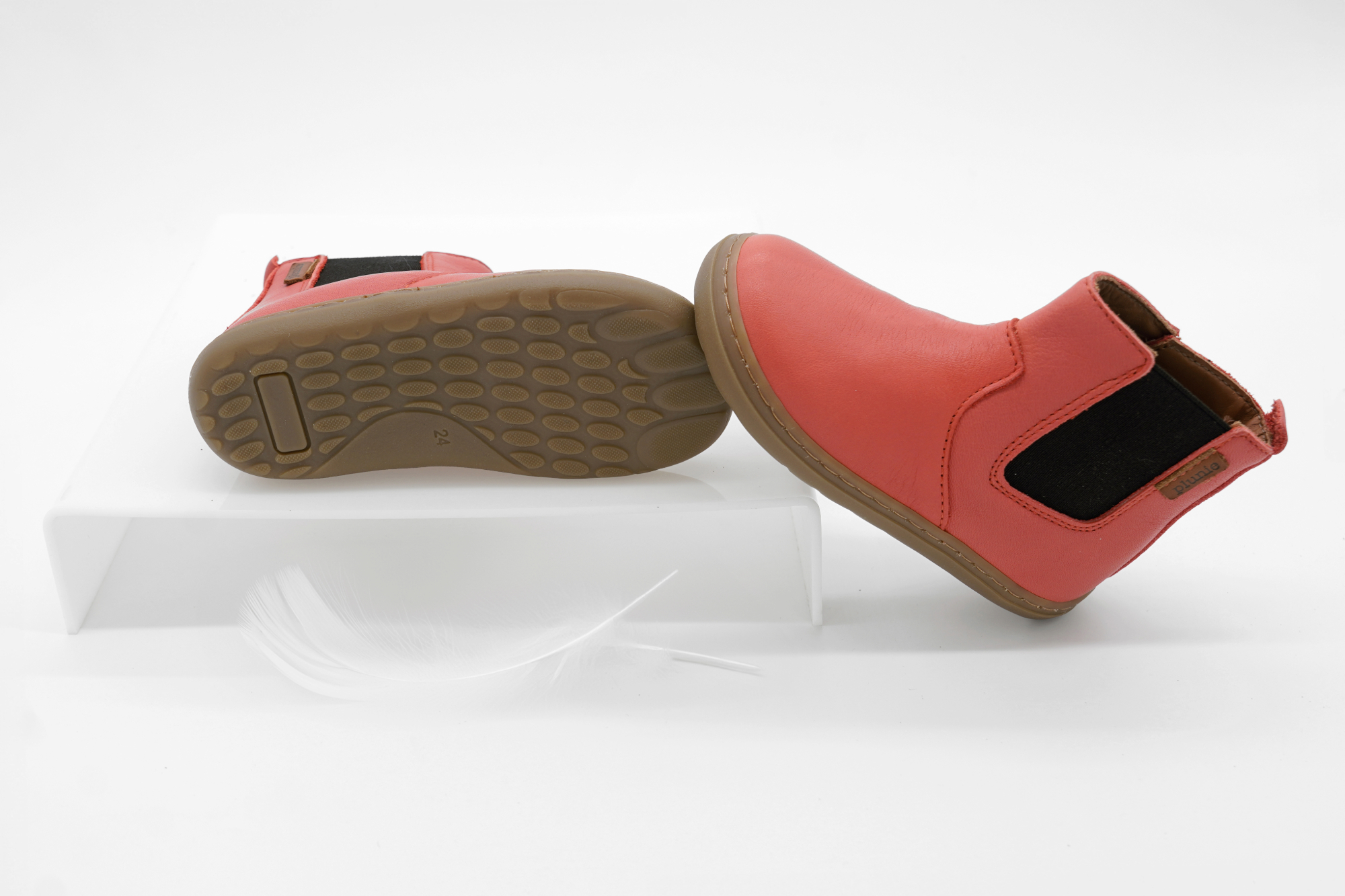 Chelsea corail