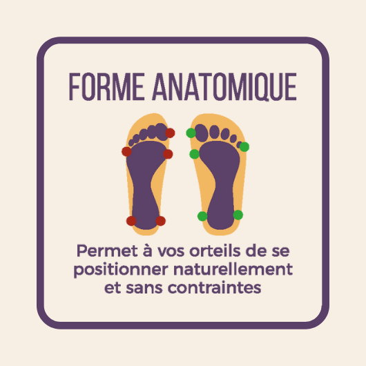 forme anatomique